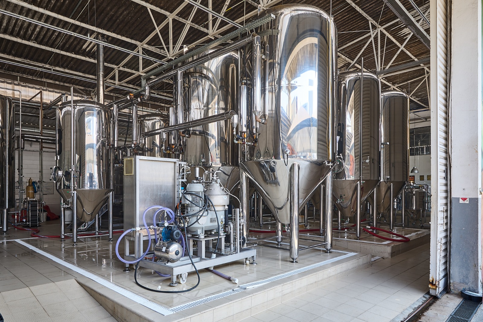 WhatsApp Image 2023-11-17 at 12.47.19 (3).jpeg